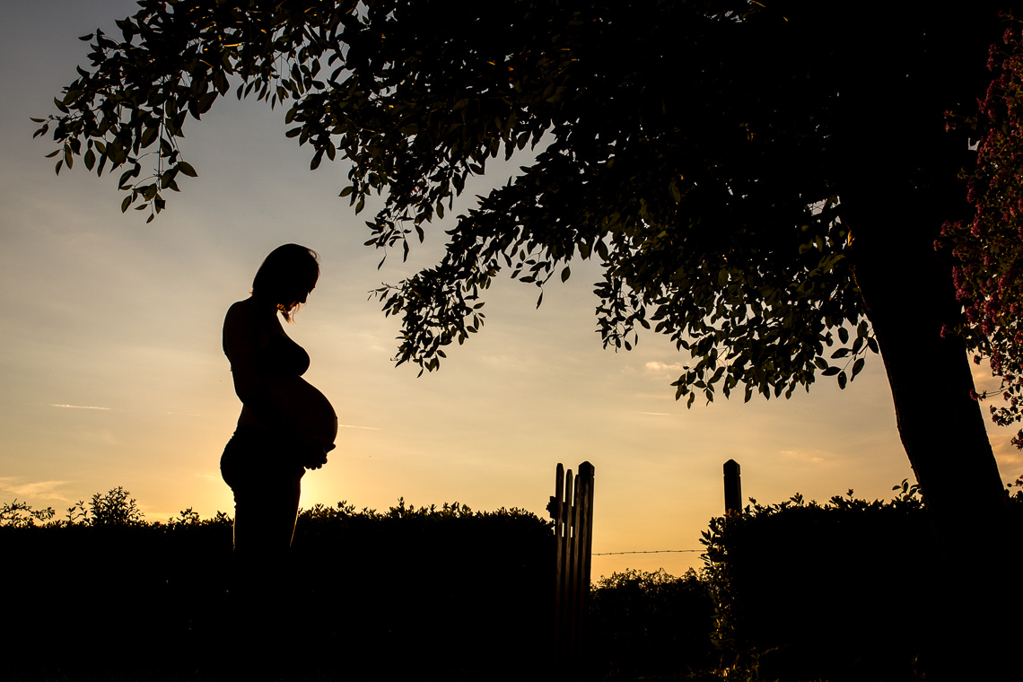 Maternity
